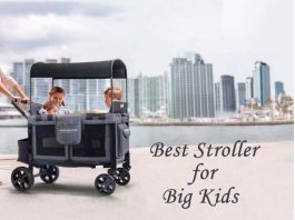 Best Stroller for Big Kids