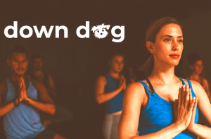 Yoga | Down Dog – How To Download and Use This Amazing App