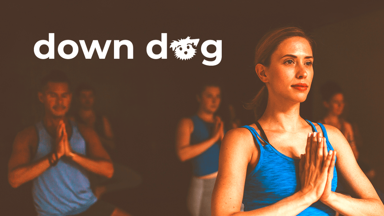 Yoga | Down Dog – How To Download and Use This Amazing App