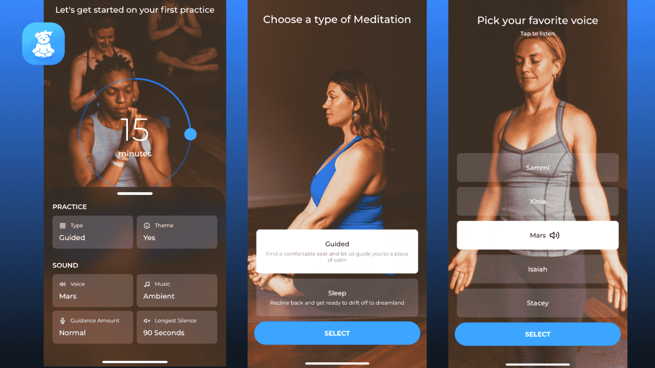 Yoga | Down Dog – How To Download and Use This Amazing App